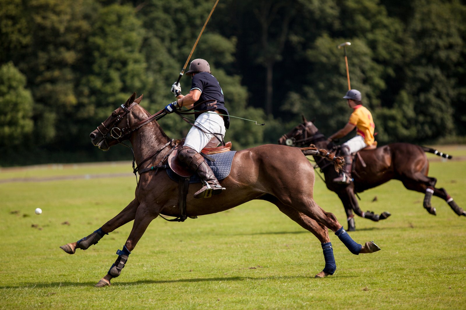 The Polo Player hits the ball towards the goal.