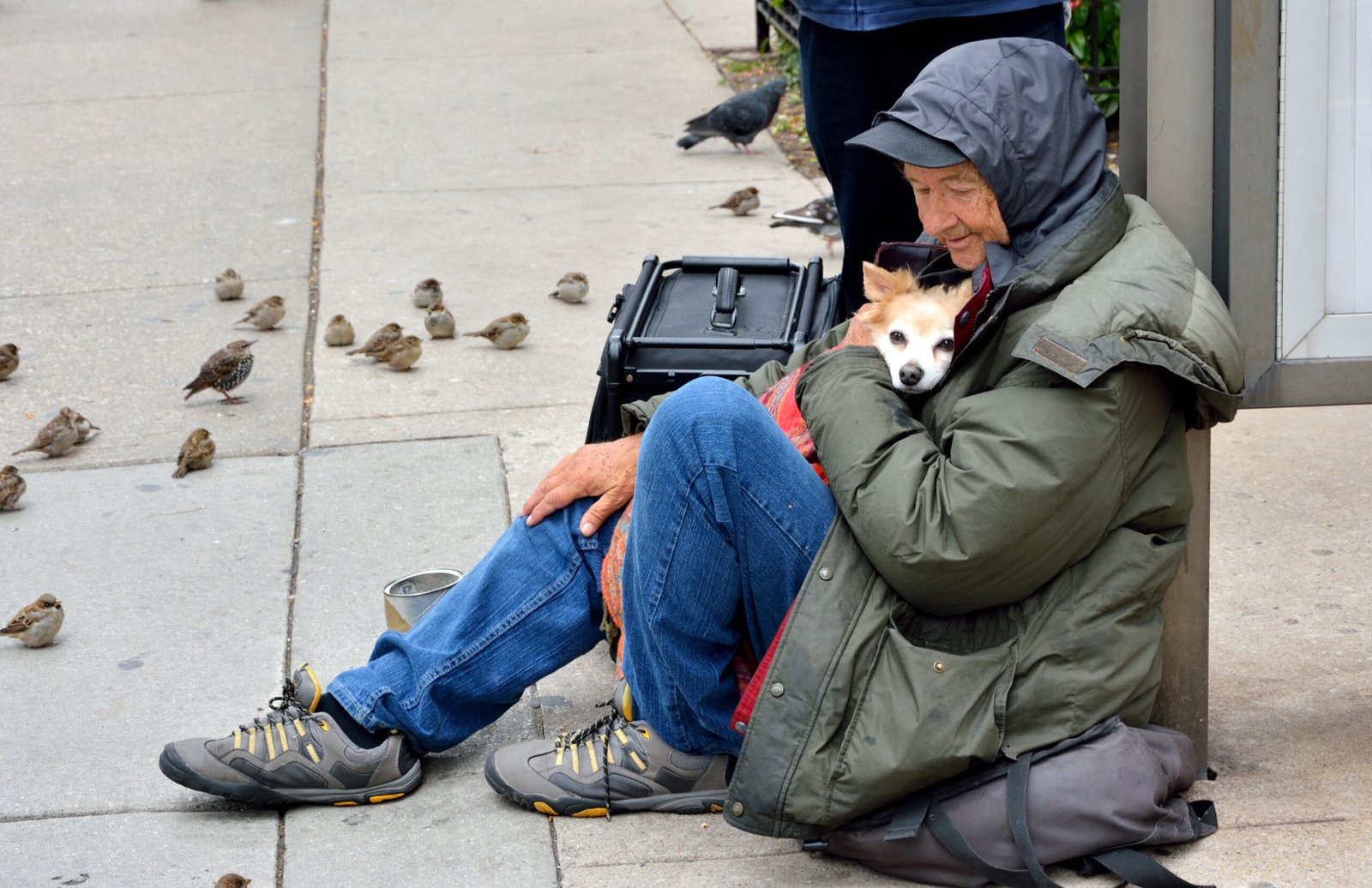 Chicago,,Usa,-,October,5:,A,Homeless,Old,Man,And